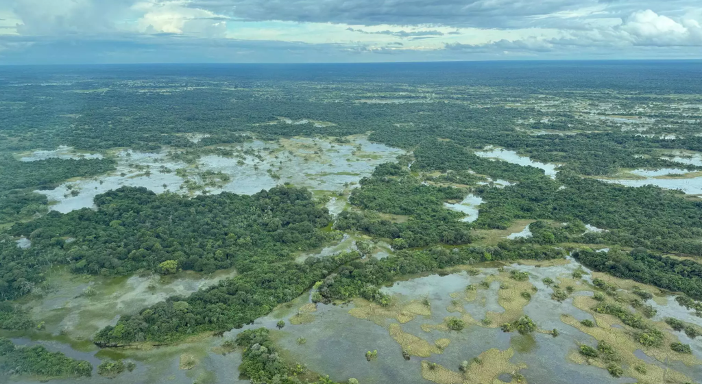 Estudo aponta cheia mais curta e fogo prolongado no Pantanal Estudo aponta cheia mais curta e fogo prolongado no Pantanal