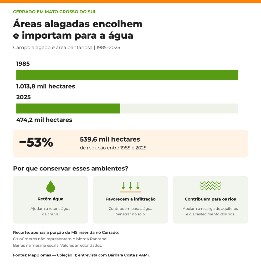 Cerrado de MS perde mais da metade das áreas alagadas desde 1985 Cerrado de MS perde mais da metade das áreas alagadas desde 1985