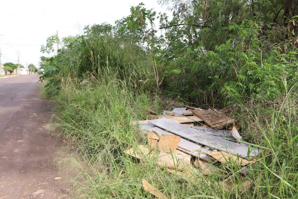 Terreno vira ponto de descarte irregular no Panamá e moradores adotam até jiboia Terreno vira ponto de descarte irregular no Panamá e moradores adotam até jiboia