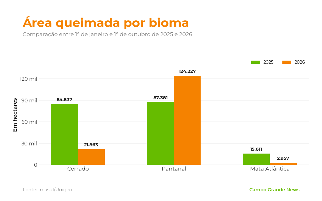 Área queimada no Pantanal cresce 42% e passa de 124 mil hectares Área queimada no Pantanal cresce 42% e passa de 124 mil hectares