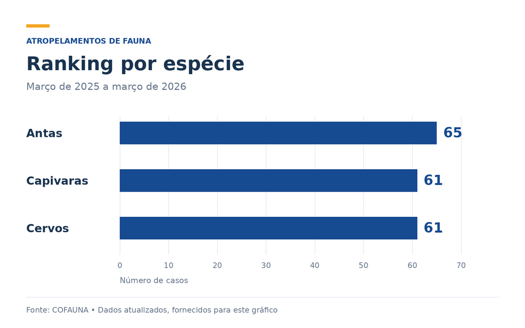 Sem cercas, passagens abertas para animais podem ser inúteis em rodovias