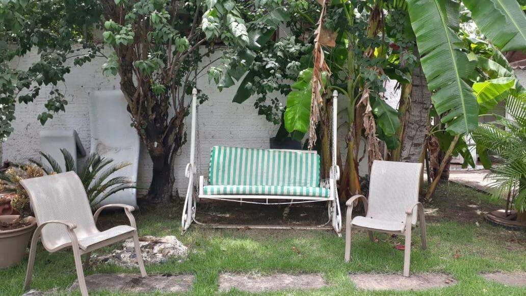 Por trás de fachada restaurada, hotel antigo esconde jardim de 72 metros