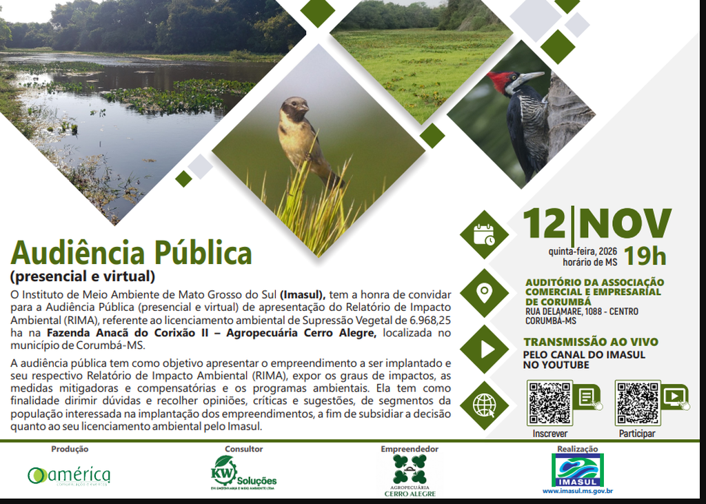 Projeto prevê desmatamento no Pantanal de área quase 4 vezes maior que Noronha