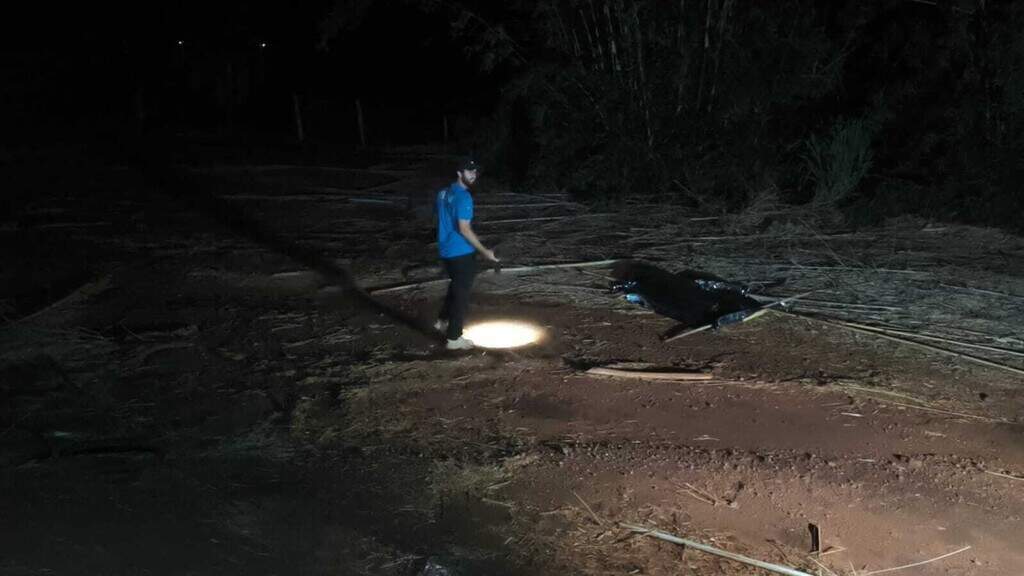 Adolescente morta atropelada por ambulância é identificada 7 meses depois Adolescente morta atropelada por ambulância é identificada 7 meses depois