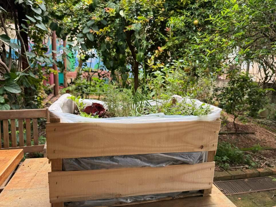 Sem quintal? Caixote vira horta portátil com temperos fresquinhos Sem quintal? Caixote vira horta portátil com temperos fresquinhos