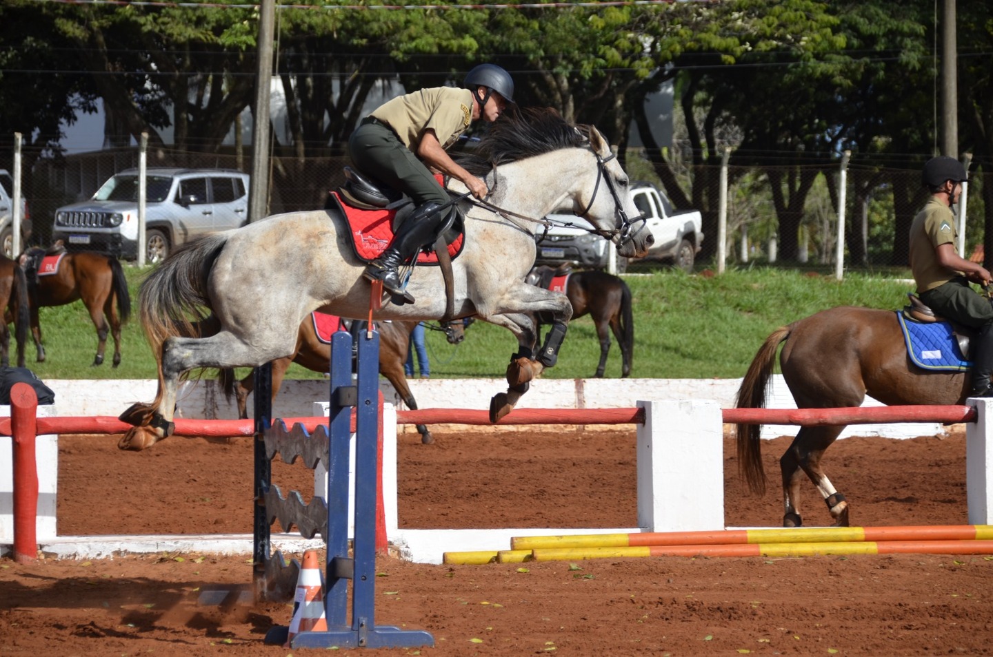 1º Festival Hípico reúne feira criativa, esporte e lazer em Dourados 1º Festival Hípico reúne feira criativa, esporte e lazer em Dourados