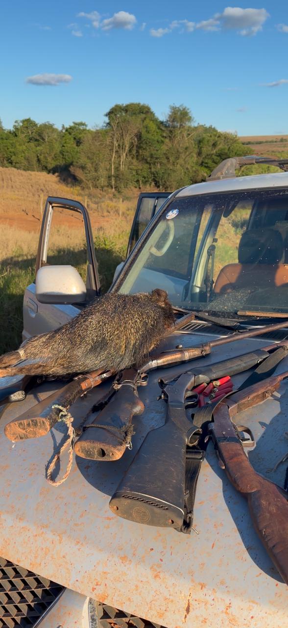 Seis homens são presos com armas e animais abatidos durante caça ilegal