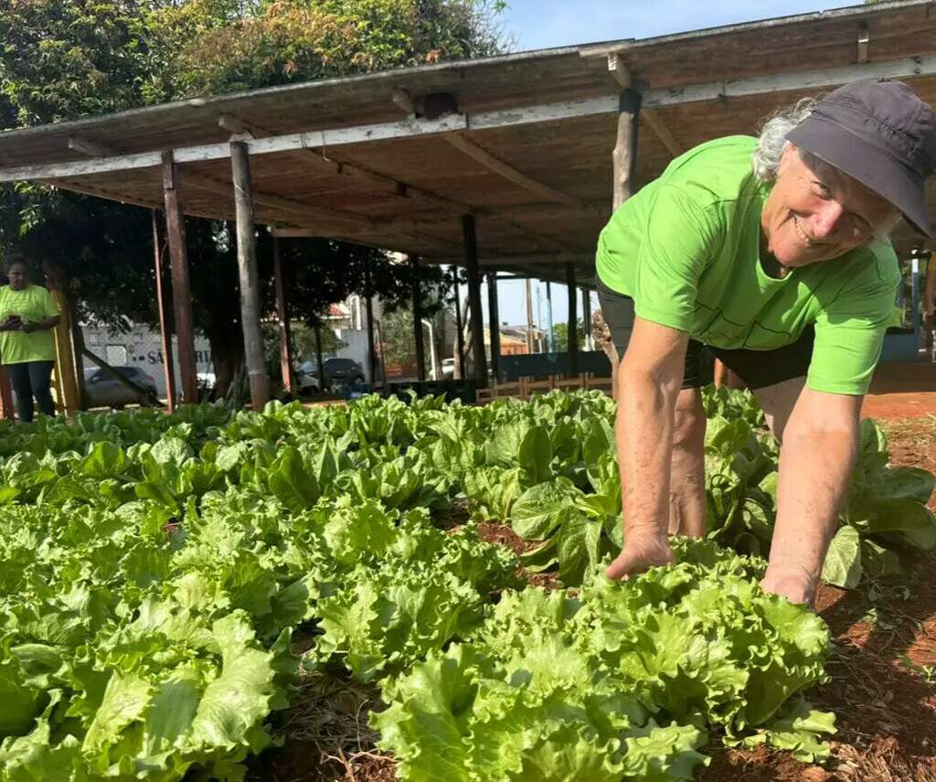 Da terra ao prato, horta quilombola faz florescer histórias e tradições Da terra ao prato, horta quilombola faz florescer histórias e tradições