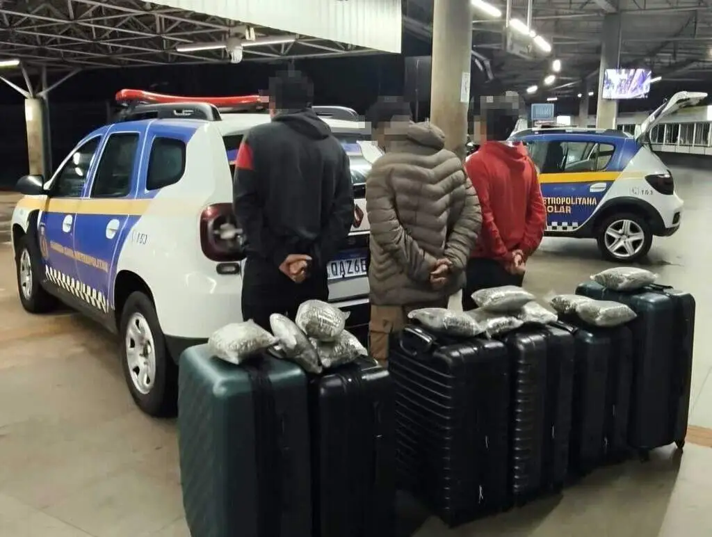 Trio é flagrado tentando embarcar para Curitiba com malas recheadas de maconha