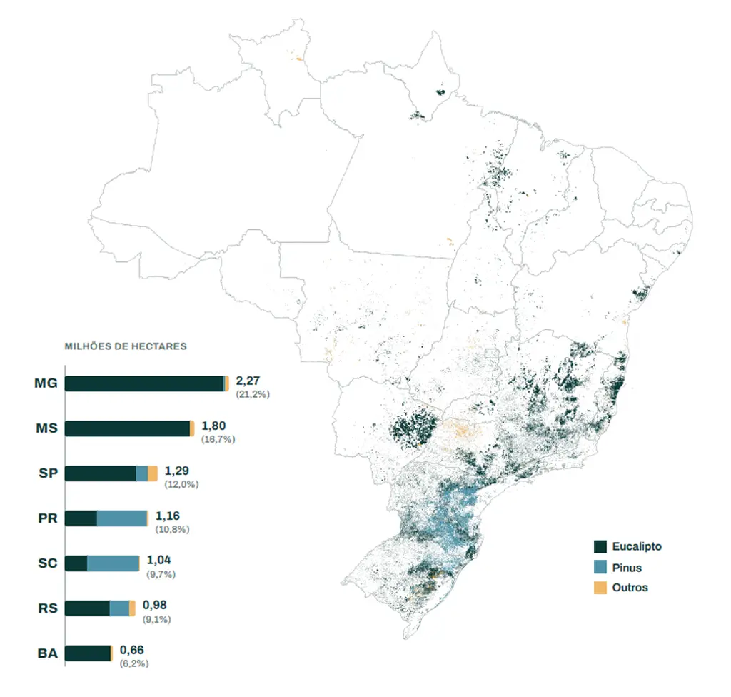 Expansão do eucalipto coloca MS atrás apenas de MG em florestas plantadas Expansão do eucalipto coloca MS atrás apenas de MG em florestas plantadas